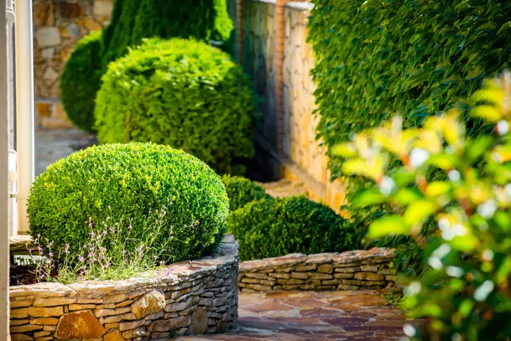 landscape-design-Stone-walkway-bushes-landscape-path