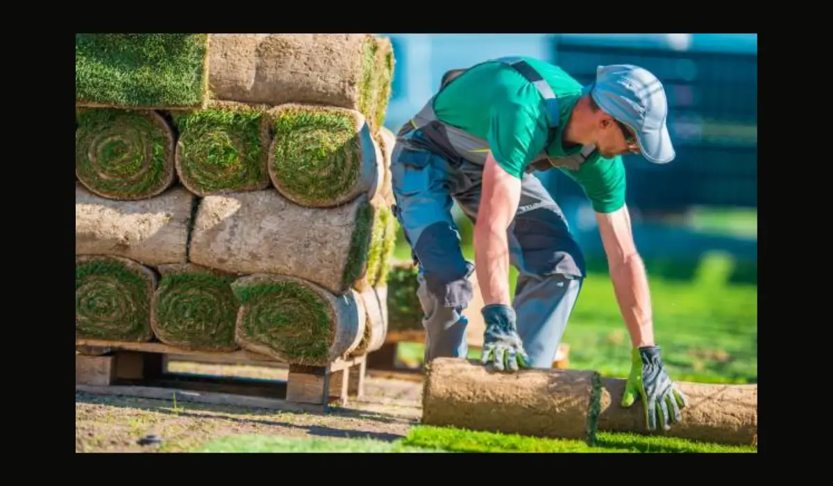 Worker installing fresh sod as part of a commercial landscaping project, showcasing effective commercial landscaping ideas for businesses.