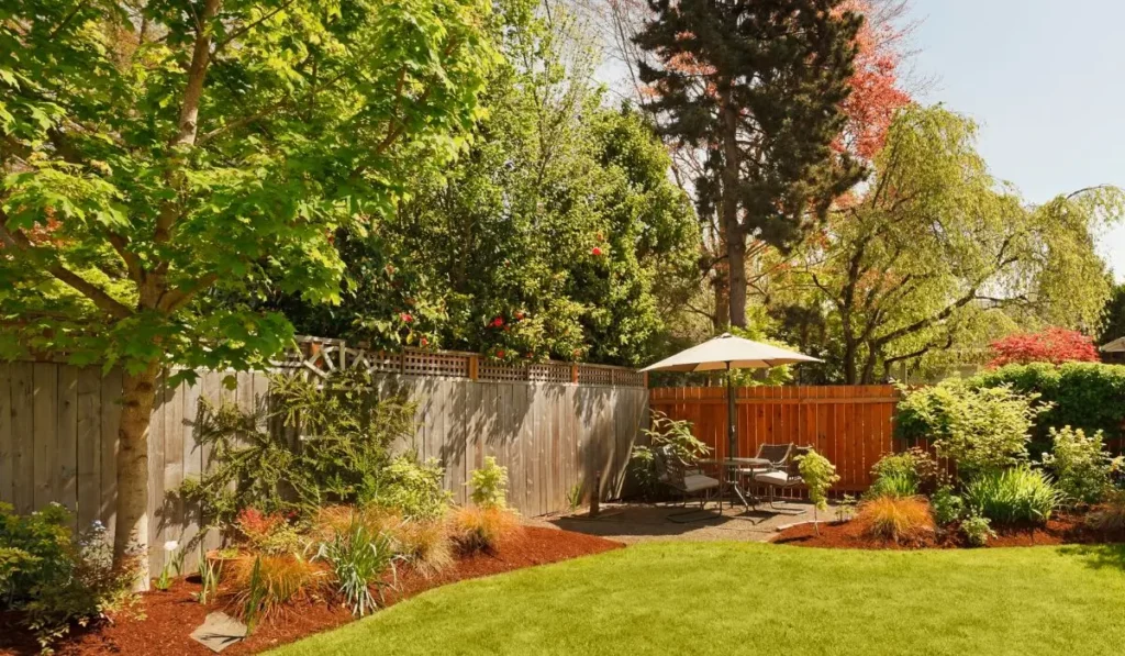 Beautifully designed backyard showcasing trees, shrubs, and lawn maintained through expert landscaping services for privacy.