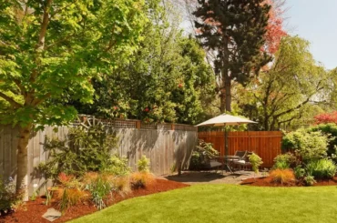 Beautifully designed backyard showcasing trees, shrubs, and lawn maintained through expert landscaping services for privacy.