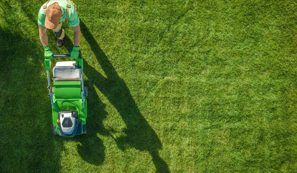 A professional landscaper using a green lawnmower for lawn repair, ensuring a healthy and even grass surface.