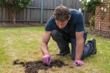 A man kneeling on patchy grass, performing lawn repair by adding soil and preparing it for regrowth.