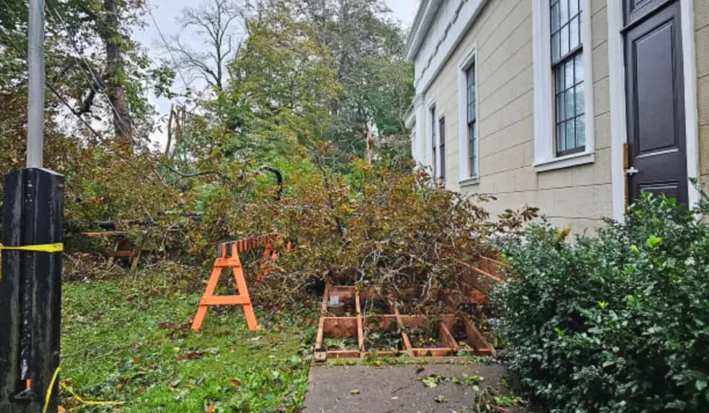 Fallen tree branches, debris, and a damaged fence near a house after a storm, requiring professional landscape cleanup.